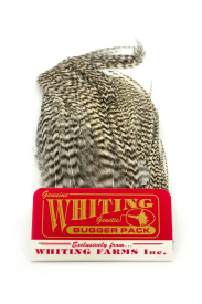 Whiting Bugger Pack Grizzly