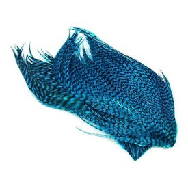 Whiting Bugger Pack - GD/Kingfisher Blue
