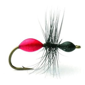 Transparant Ant Black/Red Maur Tørr