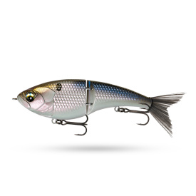 6th Sense Judo - 4K Shad