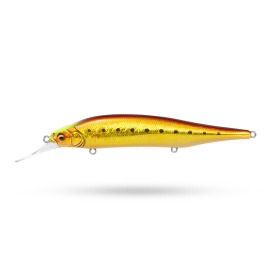 Megabass X-80 Magnum+1 - GG Akakin Iwashi CH