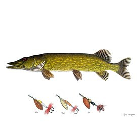 Myran Framed Pike Poster