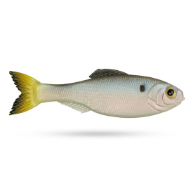 6th Sense Panorama, 2,8'' - Clearwater Shad