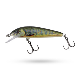 Salmo Minnow Sikning