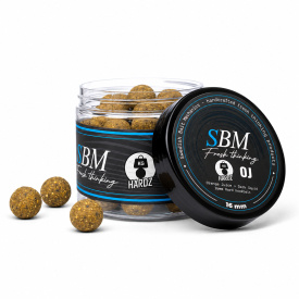 SBM Hard Hookbaits