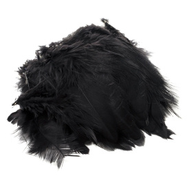 Schlappen Short - Black