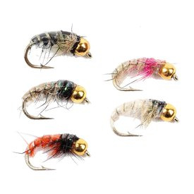 Gold Head Czech Nymphs 5kpl