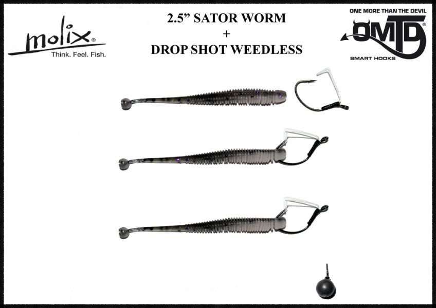 Molix Sator Worm 2,5\'\', 6,3cm